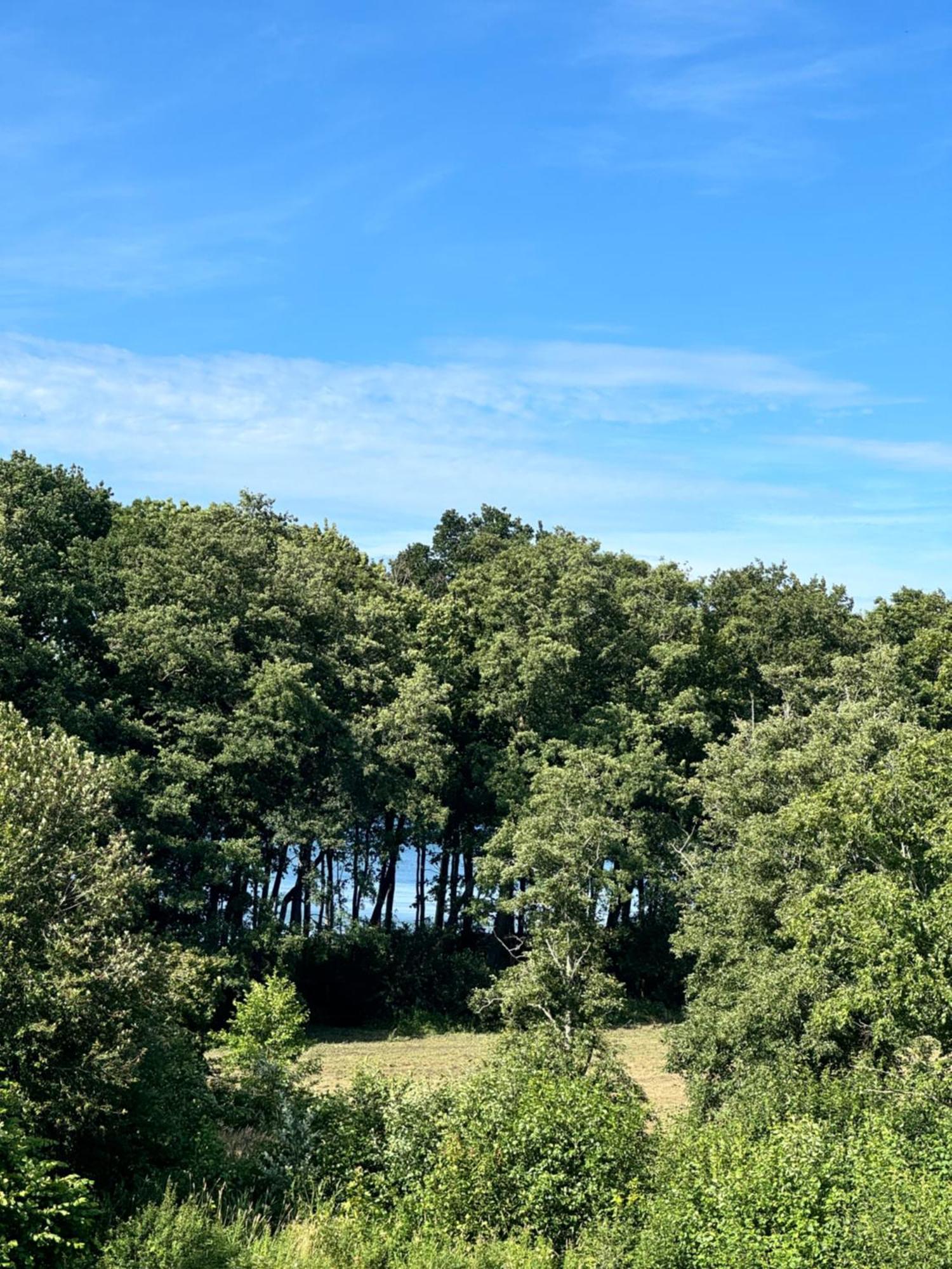 Zalotna Mewa Gaski Exterior foto